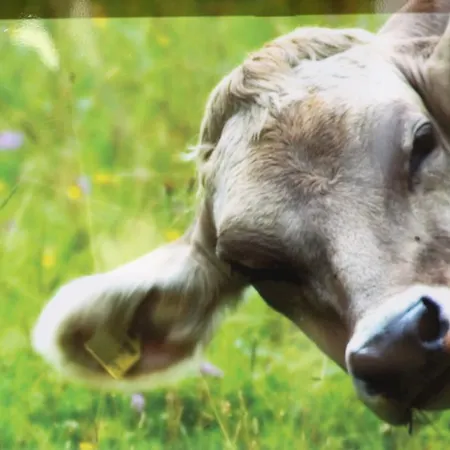 Bernegglehen * Berchtesgaden